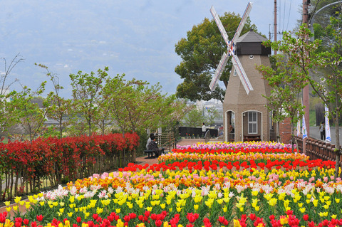 DE RIJKE公园郁金香节