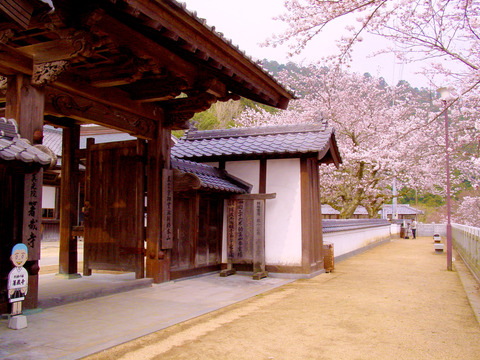箸蔵寺 春季大祭