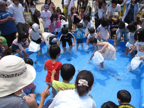 由岐鲍鱼市场