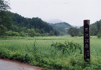 黑泽湿原节