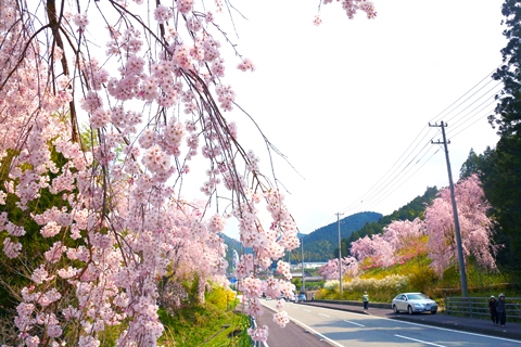 第4届 坂本光之村