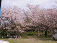 第4届 坂本光之村