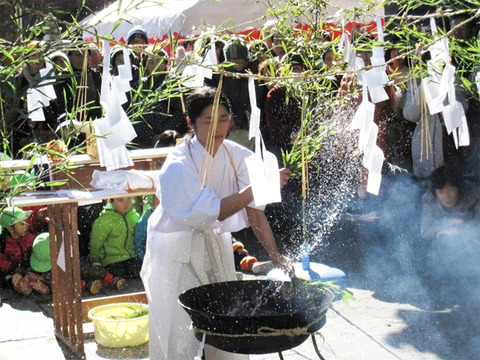 黑泽湿原节