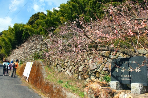 井川滑雪场夜间开放